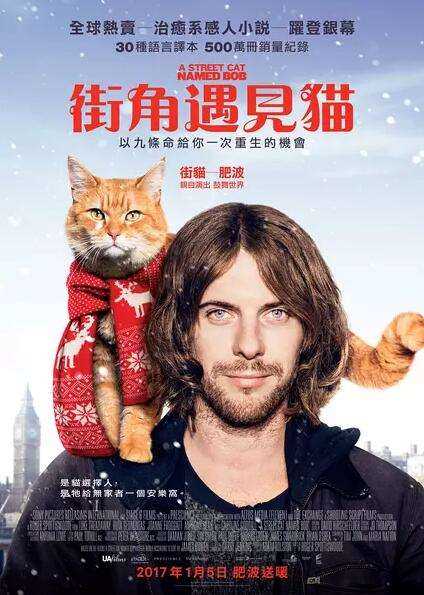 流浪猫鲍勃