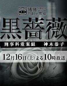 黑蔷薇:刑事课强行犯系神木恭子