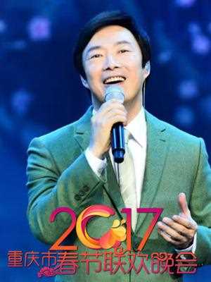 重庆卫视2017春晚