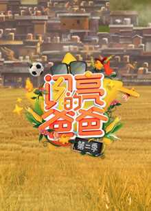 闪亮的爸爸 第2季