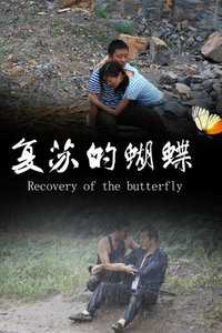 复苏的蝴蝶