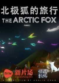北极狐的旅行