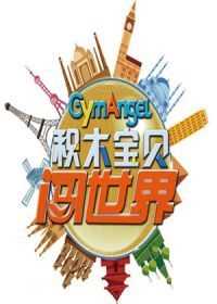 积木宝贝闯世界