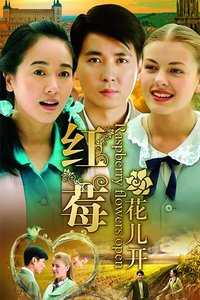 红莓花儿开
