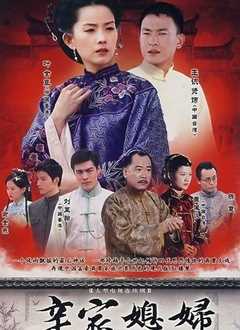辛家媳妇