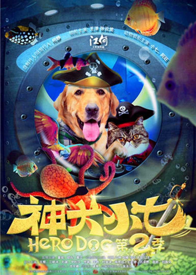 神犬小七第二季