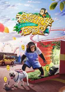 神奇伙伴在哪里