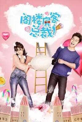 阁楼房客是总裁