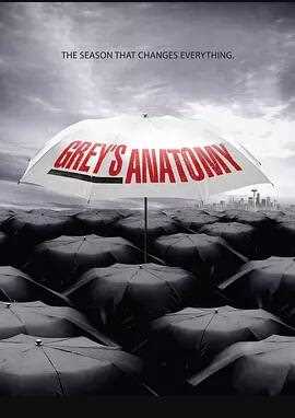 实习医生格蕾第六季