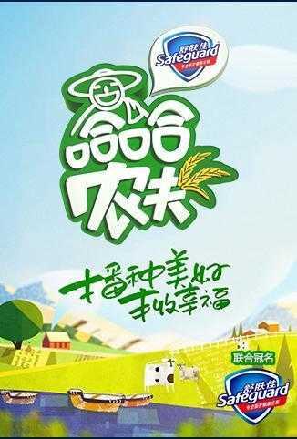 哈哈农夫 2019年