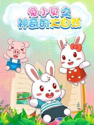兔小贝之神奇的大自然