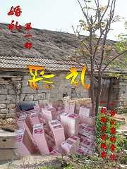 彩礼