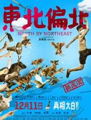 东北偏北