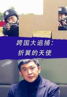 跨国大追捕:折翼的天使