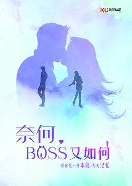 奈何BOSS又如何