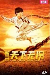 功夫阿宝：天下无拐