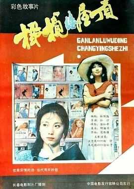 橄榄绿屋顶