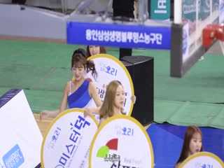 综合美女视频001