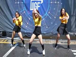 综合美女视频106