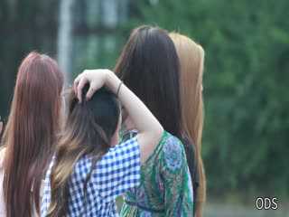 综合美女视频080