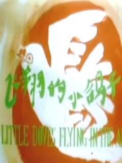 飞翔的小鸽子