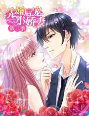 先婚后宠小娇妻第二季