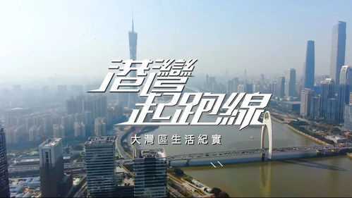 港湾起跑线粤语