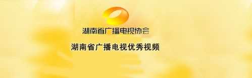 湖南省广播电视优秀视频（2013）