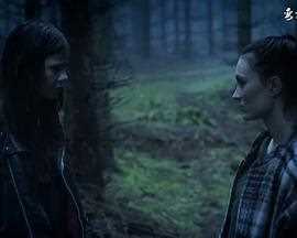 丹麦淫妖 第二季