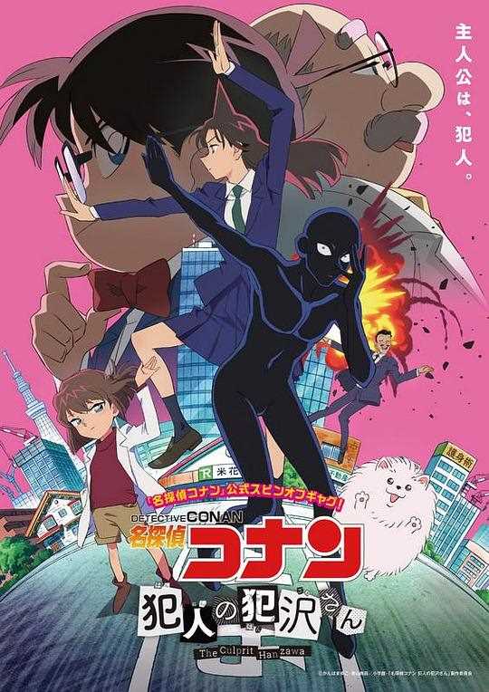 名侦探柯南:犯人犯泽先生