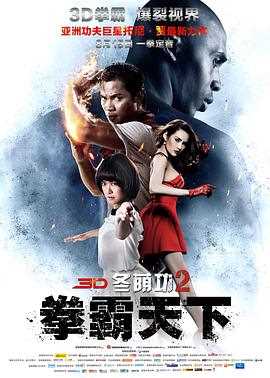 冬荫功2:拳霸天下(国语版)