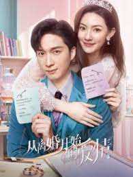 从离婚开始的爱情