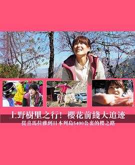 上野树里之行!樱花前线大追迹~从喜马拉雅到日本列岛5400公里的樱之路~