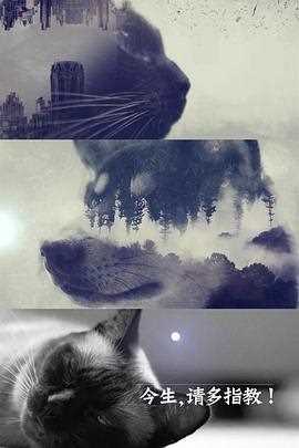 今生,请多指教