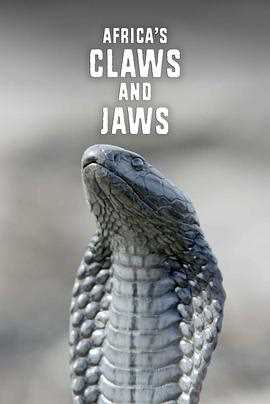 非洲动物的致命武器第一季