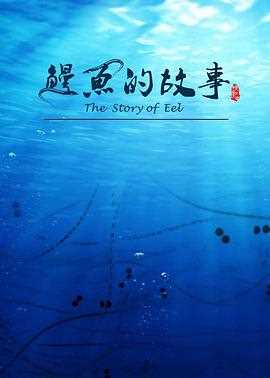 鳗鱼的故事