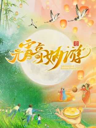 2025河南卫视元宵奇妙游