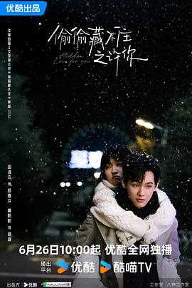 偷偷藏不住之许你