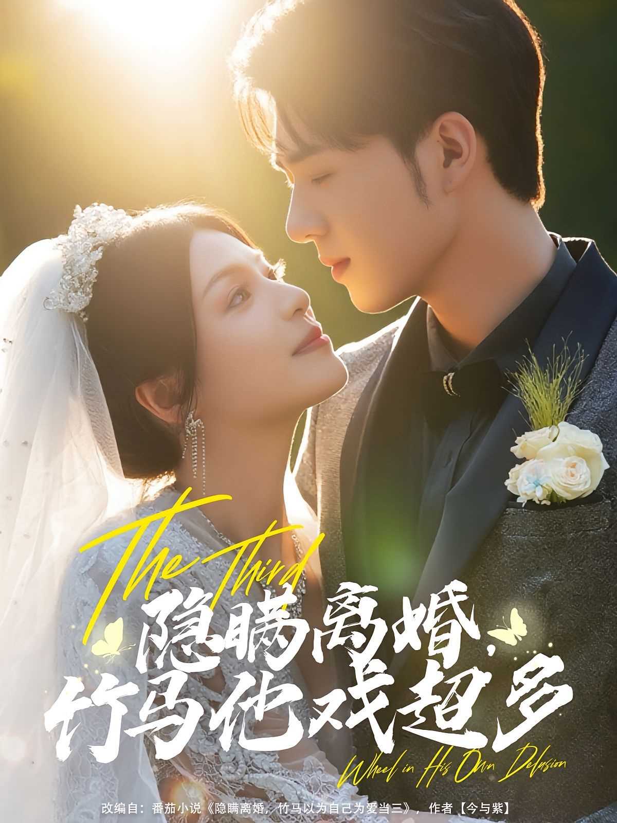 隐瞒离婚竹马他戏超多