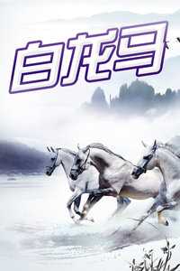 白龙马
