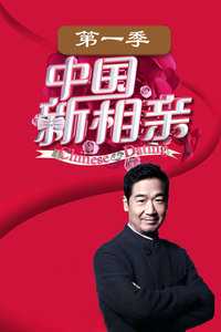 中国新相亲 第一季