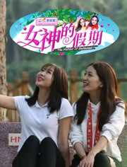 女神的假期