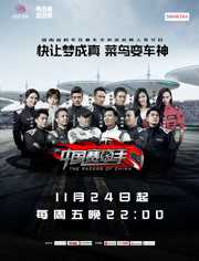 中国赛车手之菜鸟驾道