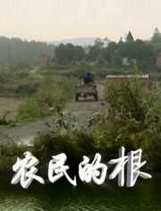农民的根