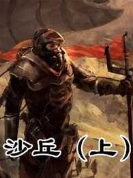 沙丘 上