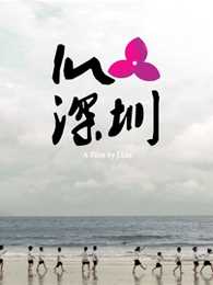 IN 深圳