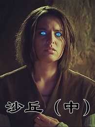 沙丘 中
