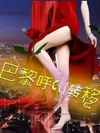 巴黎呼叫转移