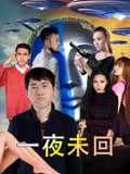 一夜未回
