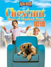 勇犬大栗：中央公园的英雄[国语]
